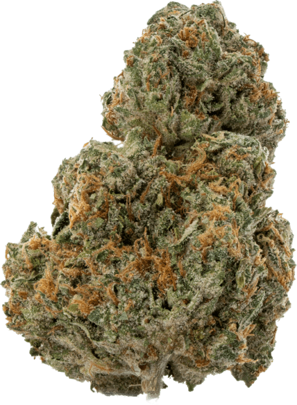 Boston Cream image 1